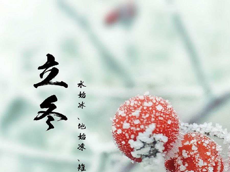 今日立冬，啟睿喊你吃餃子嘍